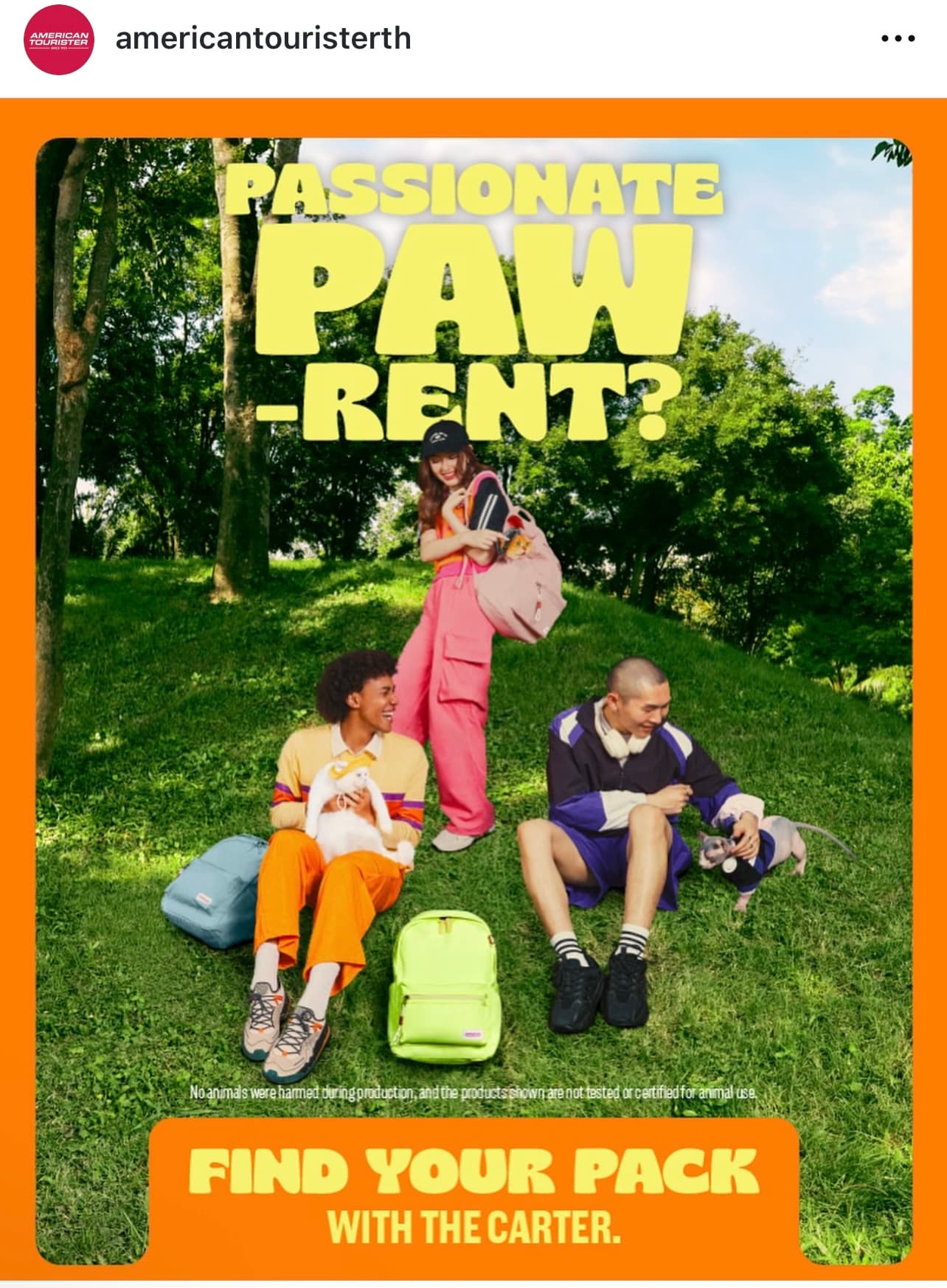 American Tourister Thailand - Find your pack